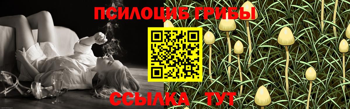 Псилоцибиновые грибы Magic Shrooms  Вход с VPN  Назарово 